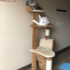 黑人40厘米全进去了欧美
