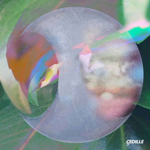 黑人40厘米全进去了欧美
